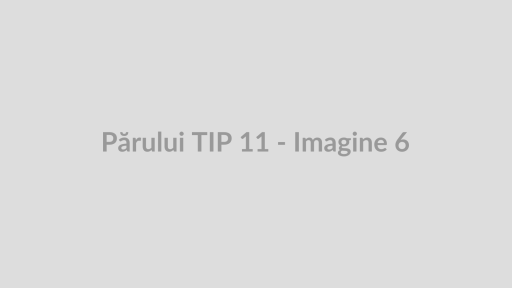 Părului TIP 11 - Imagine 6