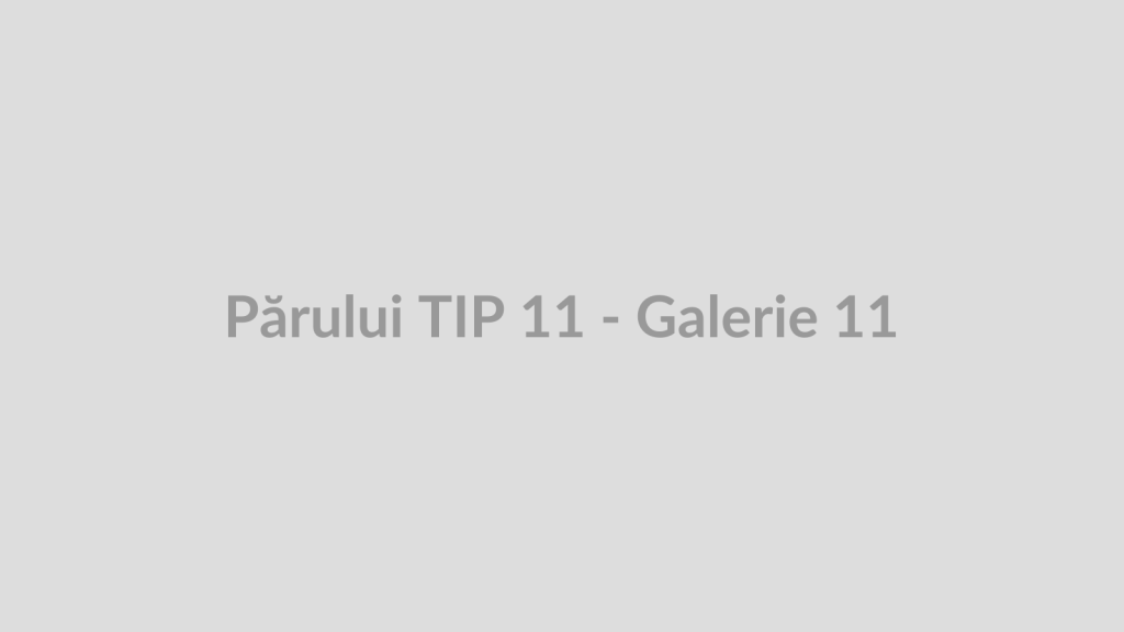 Părului TIP 11 - Galerie 11
