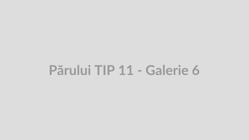 Părului TIP 11 - Galerie 6