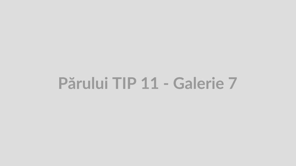 Părului TIP 11 - Galerie 7