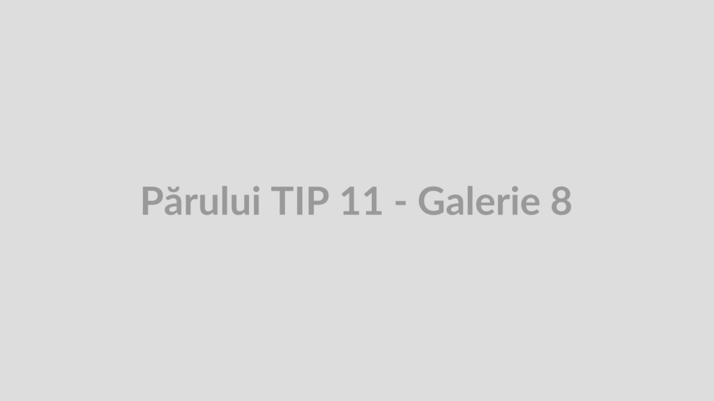 Părului TIP 11 - Galerie 8
