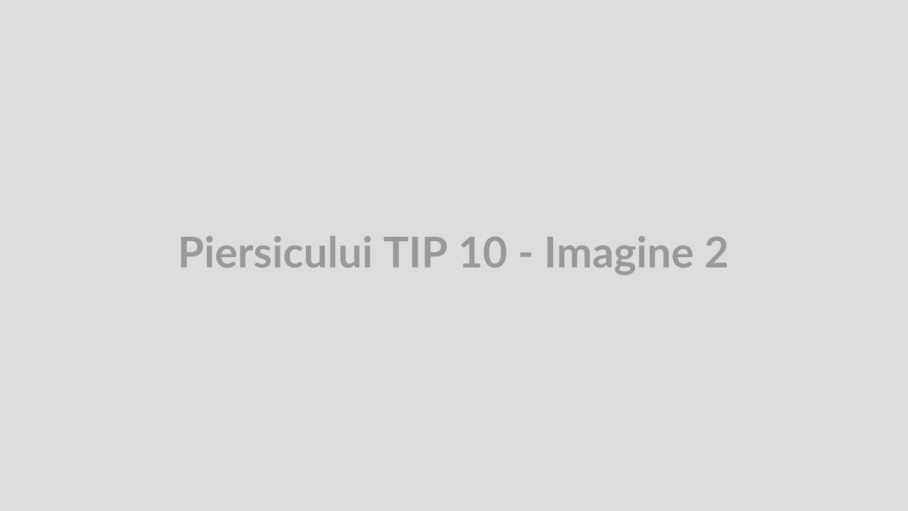 Piersicului TIP 10 - Imagine 2
