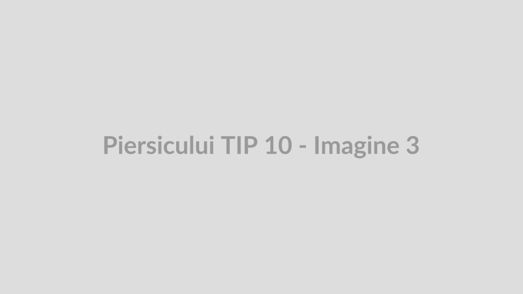 Piersicului TIP 10 - Imagine 3