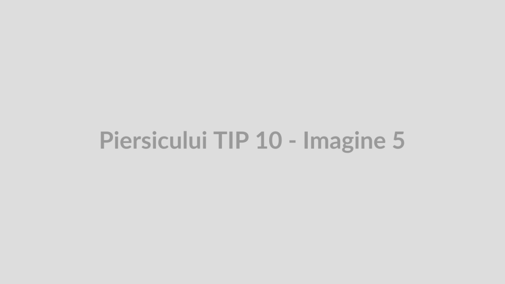 Piersicului TIP 10 - Imagine 5