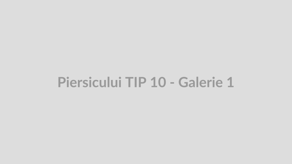 Piersicului TIP 10 - Galerie 1