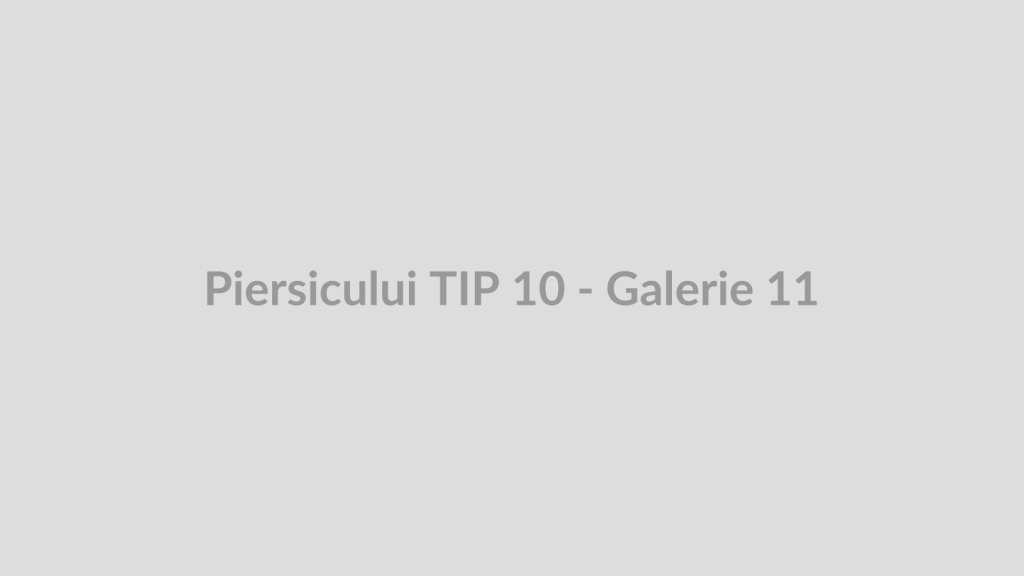 Piersicului TIP 10 - Galerie 11
