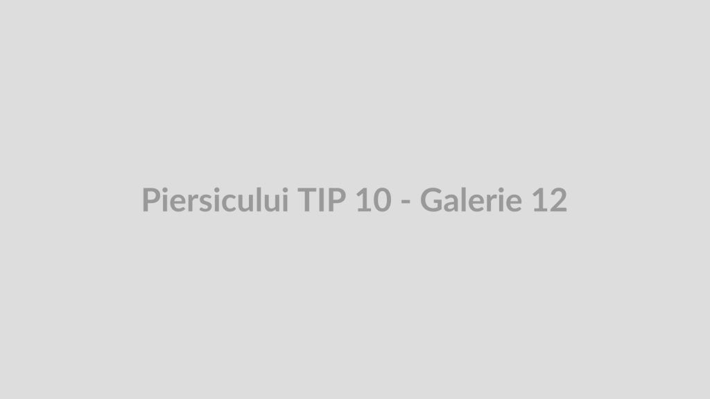 Piersicului TIP 10 - Galerie 12