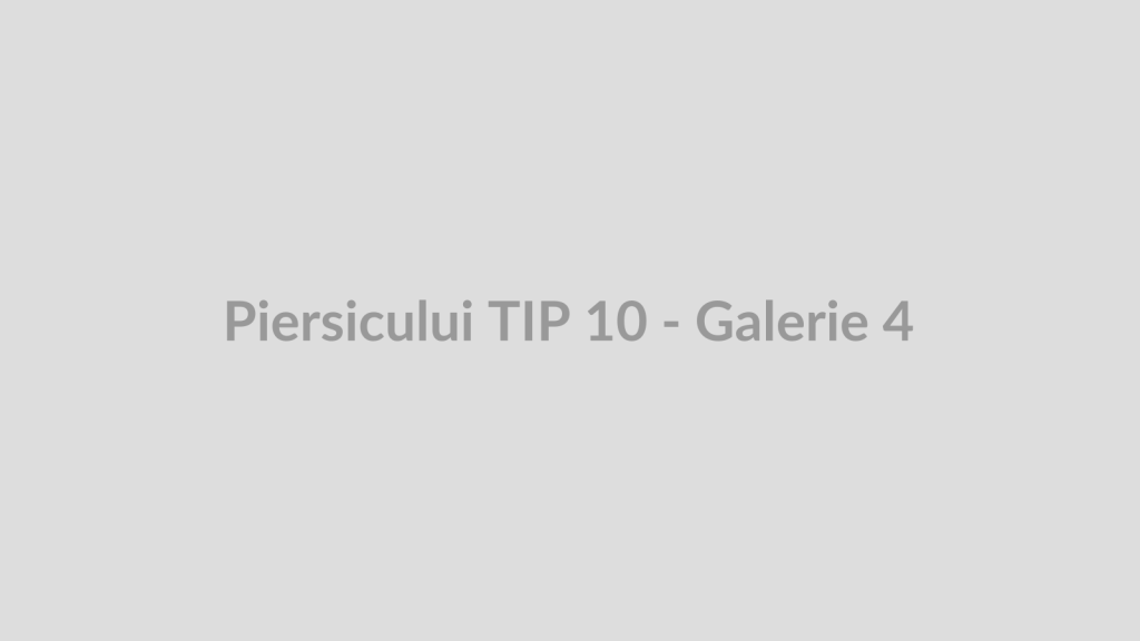 Piersicului TIP 10 - Galerie 4
