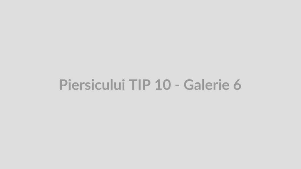 Piersicului TIP 10 - Galerie 6