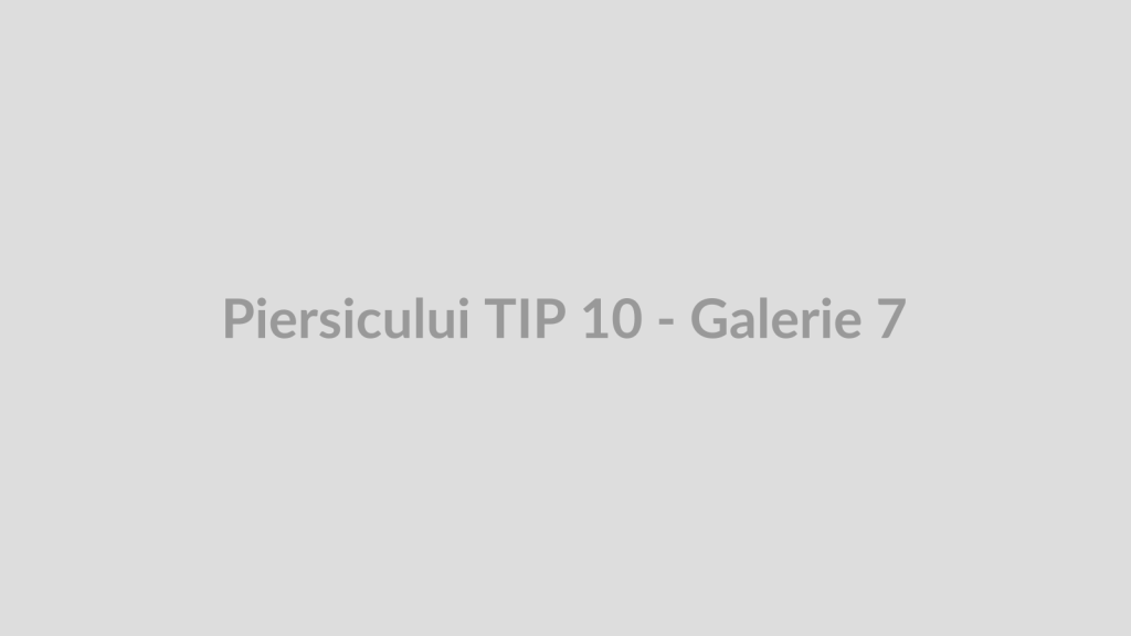 Piersicului TIP 10 - Galerie 7