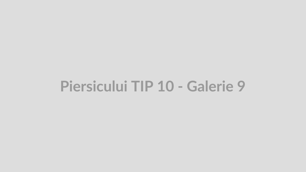 Piersicului TIP 10 - Galerie 9