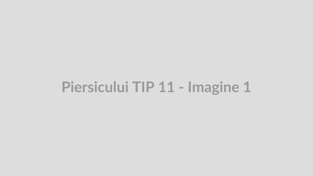 Piersicului TIP 11 - Imagine 1