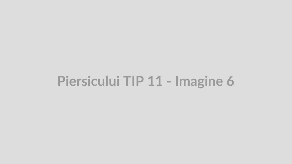 Piersicului TIP 11 - Imagine 6