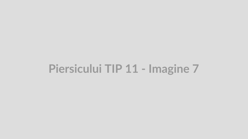 Piersicului TIP 11 - Imagine 7