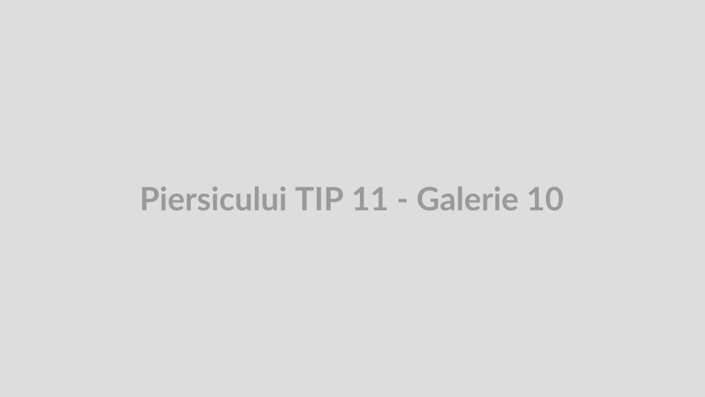 Piersicului TIP 11 - Galerie 10