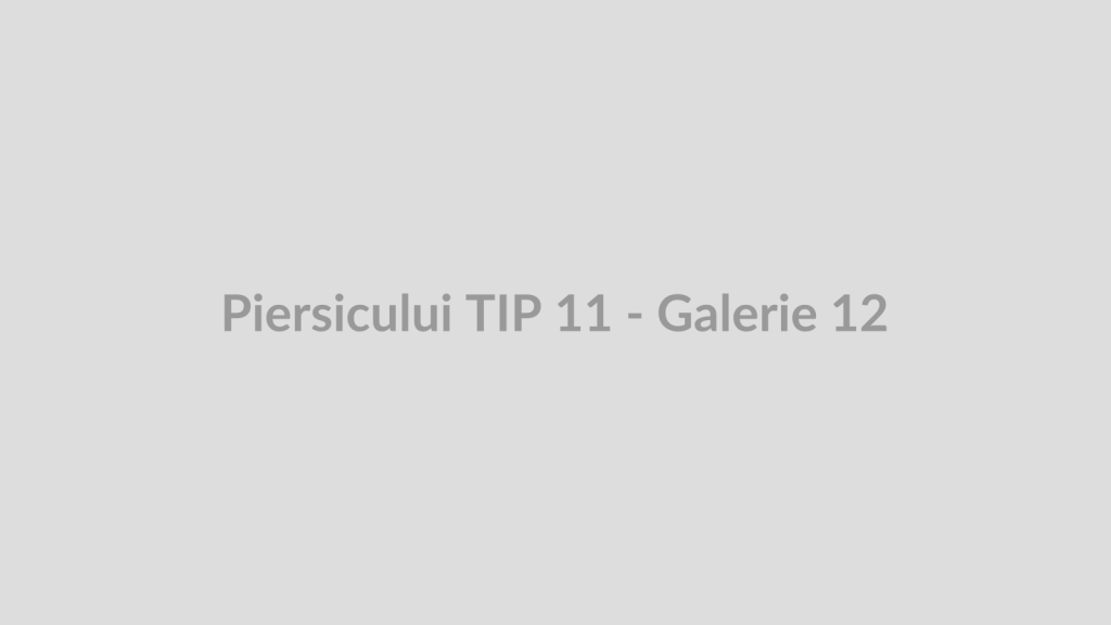 Piersicului TIP 11 - Galerie 12