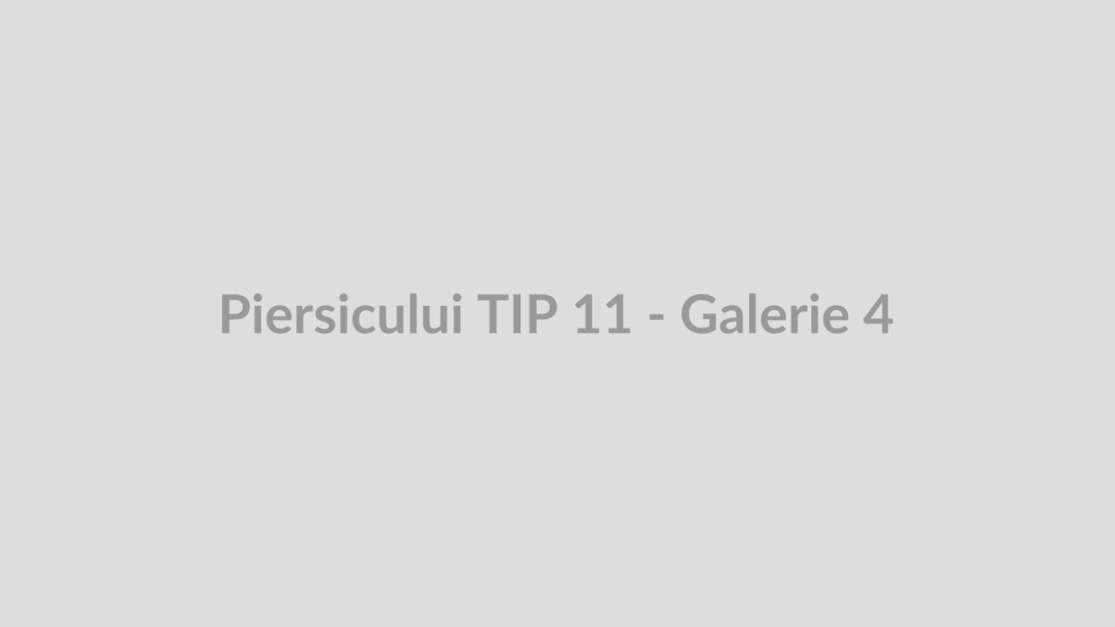 Piersicului TIP 11 - Galerie 4