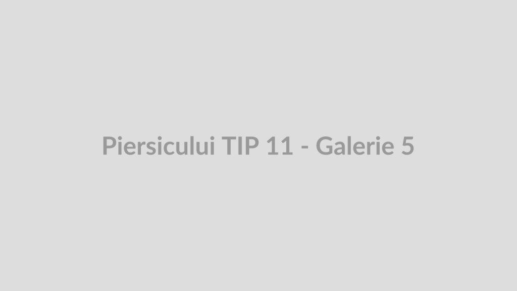 Piersicului TIP 11 - Galerie 5