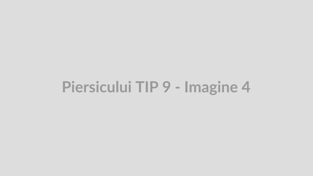 Piersicului TIP 9 - Imagine 4
