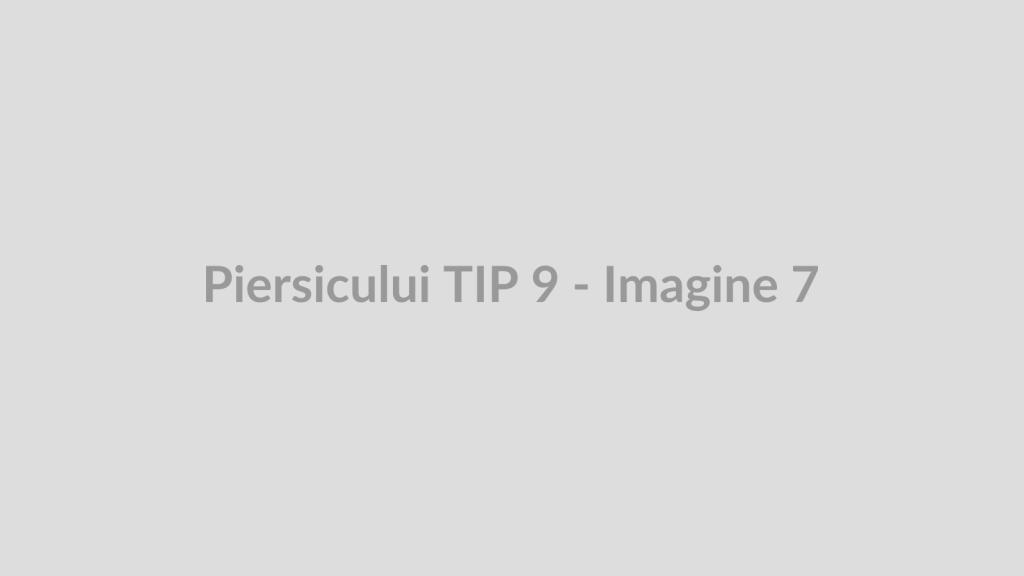 Piersicului TIP 9 - Imagine 7