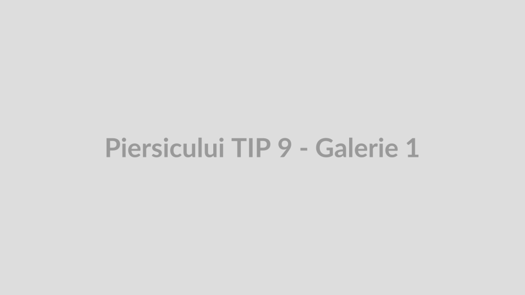 Piersicului TIP 9 - Galerie 1