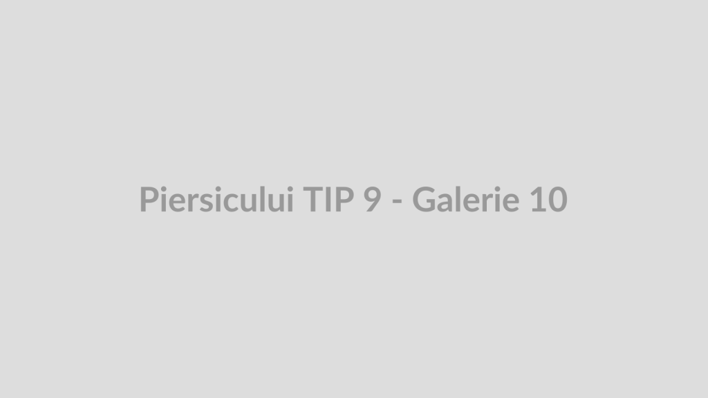 Piersicului TIP 9 - Galerie 10
