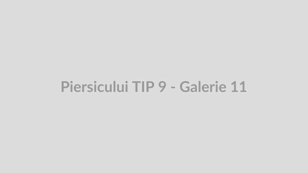 Piersicului TIP 9 - Galerie 11