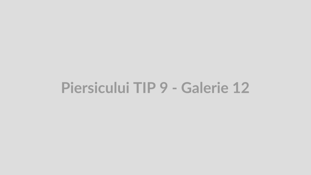 Piersicului TIP 9 - Galerie 12