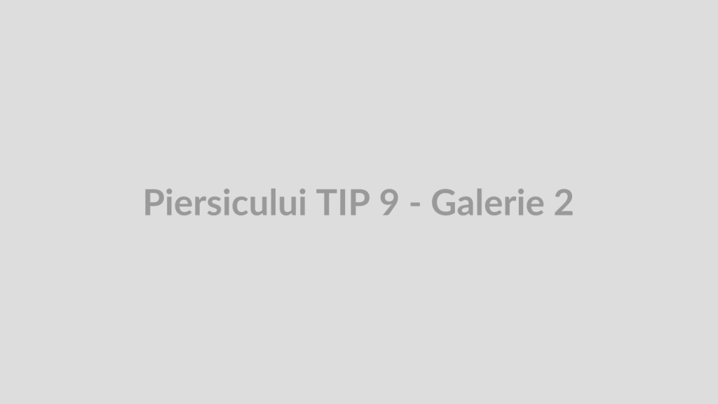 Piersicului TIP 9 - Galerie 2