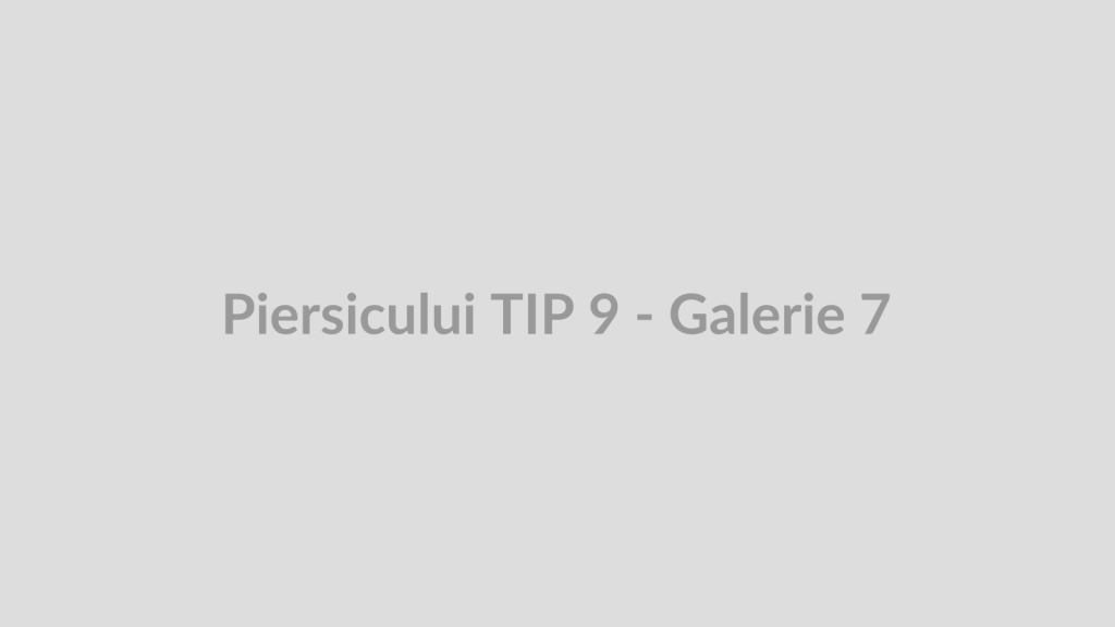 Piersicului TIP 9 - Galerie 7